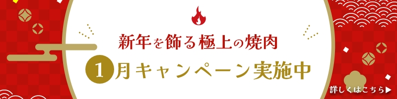 1月のキャンペーン